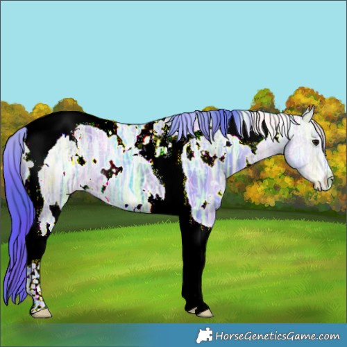 Horse Color:Nacre Watercolor White Spotted Brown Ice Tobiano 