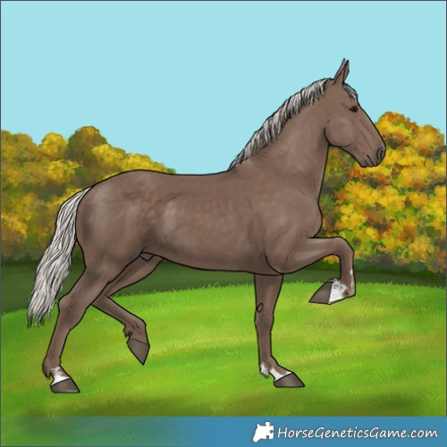 Horse Color:Silver Black 