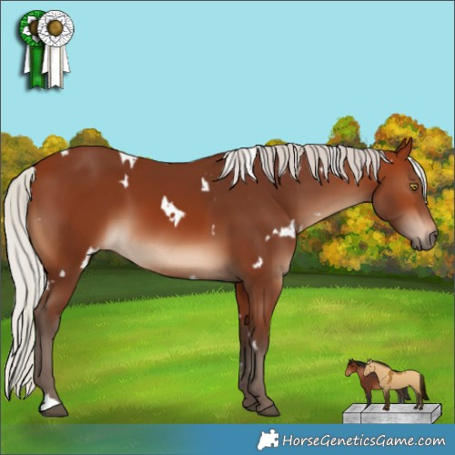 Horse Color:White Spotted Silver Brown 