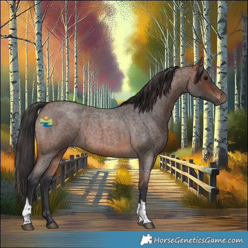 Horse Color:Brown Roan Tobiano 