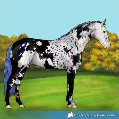 Horse Color:Nacre Watercolor White Spotted Grullo Ice Tobiano 