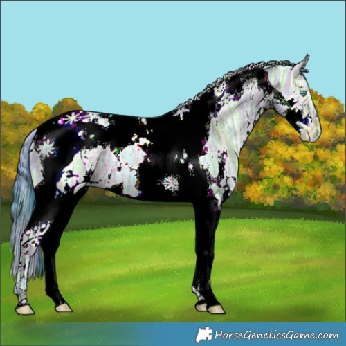 Horse Color:Nacre Watercolor White Spotted Brown Ice Dun Splash Tobiano 