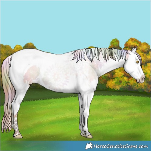Horse Color:Nacre Watercolor White Spotted Brown Ice Pearl Dun Splash Tobiano 