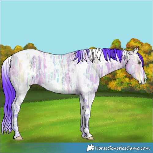 Horse Color:Watercolor White Spotted Bay Ice Dun 