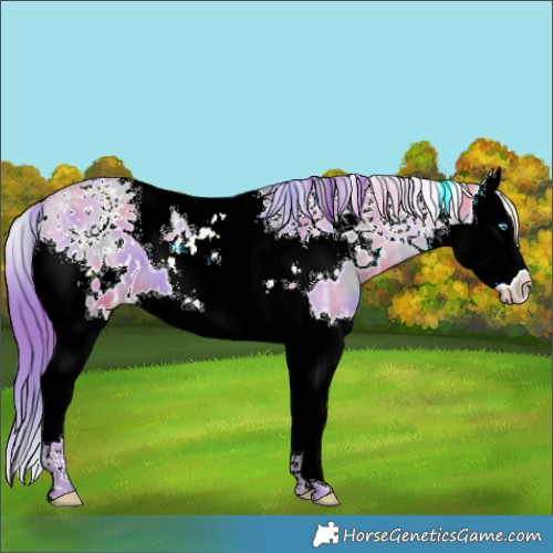 Horse Color:Nacre Watercolor White Spotted Brown Ice Pearl Dun Splash Tobiano 