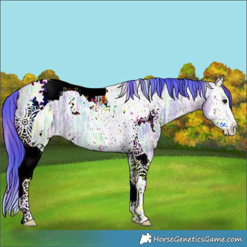 Horse Color:Nacre Watercolor White Spotted Brown Ice Dun Splash Tobiano