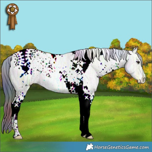Horse Color:Nacre White Spotted Brown Ice Dun Tobiano 