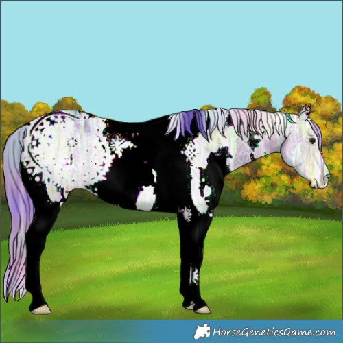 Horse Color:Nacre Watercolor White Spotted Brown Ice Dun Tobiano 