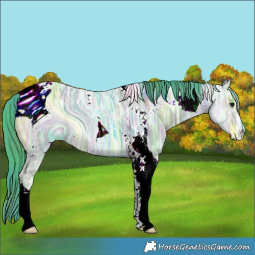 Horse Color:ERROR: UNKNOWN ANOMALY