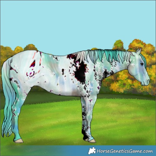 Horse Color:ERROR: UNKNOWN ANOMALY