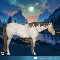 Horse Color:Classic Cream Champagne Roan
