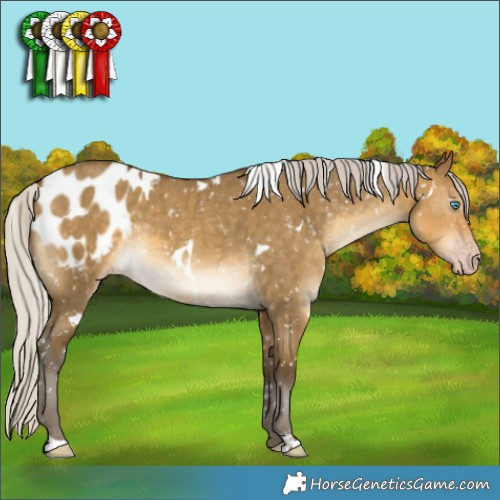 Horse Color:Gray White Spotted Silver Sable Cream Champagne Dun Appaloosa Brindle 