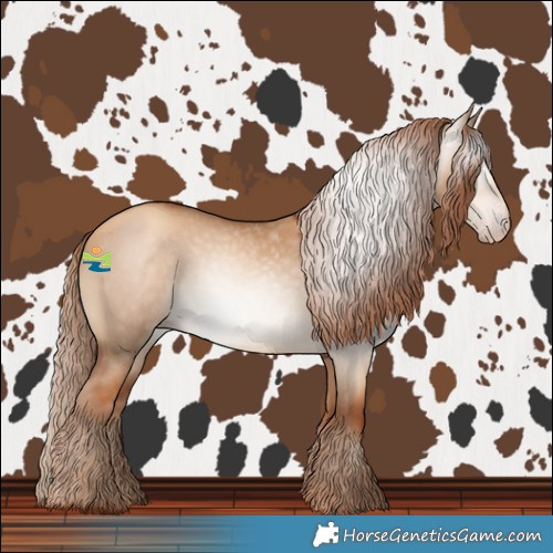 Horse Color:Gray Gold Champagne Dun Varnish 