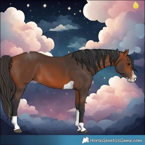 Horse Color:Bay Splash Tobiano 