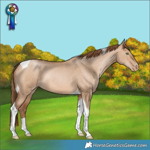 Horse Color:Bay Pearl Dun Tobiano Rabicano