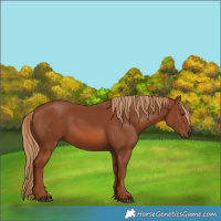 Horse Color:Chestnut 