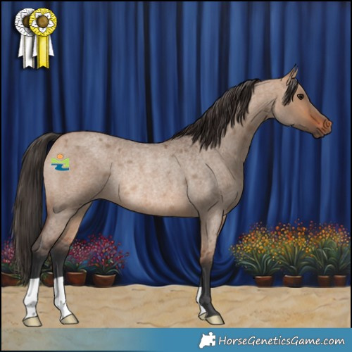 Horse Color:Bay Roan Dun Rabicano 