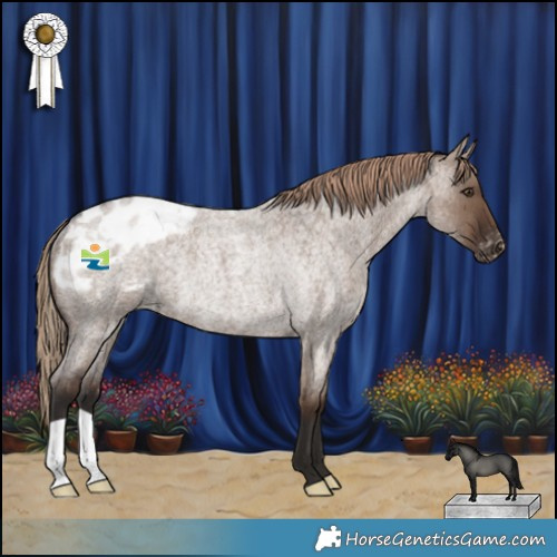 Horse Color:Liver Red Dun Roan Appaloosa Rabicano 