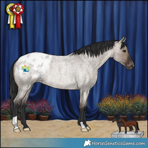 Horse Color:Brown Roan Dun Appaloosa Rabicano 