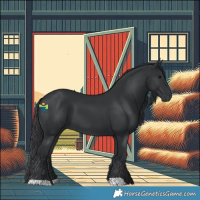Horse Color:Black 