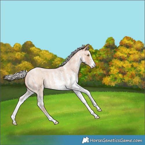Horse Color:White Spotted Silver Amber Champagne Roan 