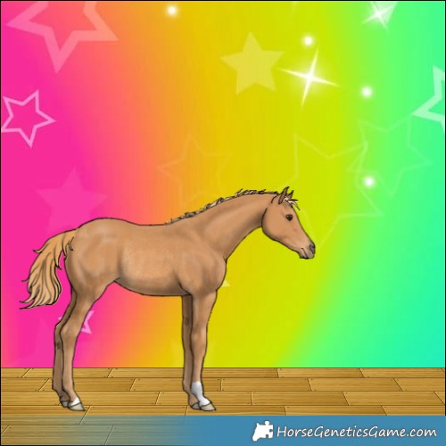 Horse Color:Chestnut Rabicano