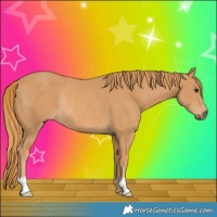 Horse Color:Chestnut Rabicano 