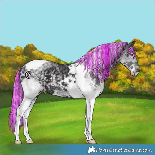 Horse Color:Painted White Spotted Silver Smoky Black Chinchilla Tobiano 