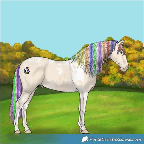 Horse Color:Painted Cremello Tobiano 