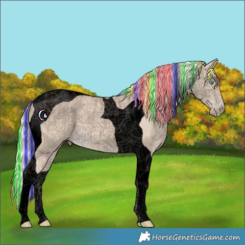 Horse Color:Void Painted Cremello Tobiano 