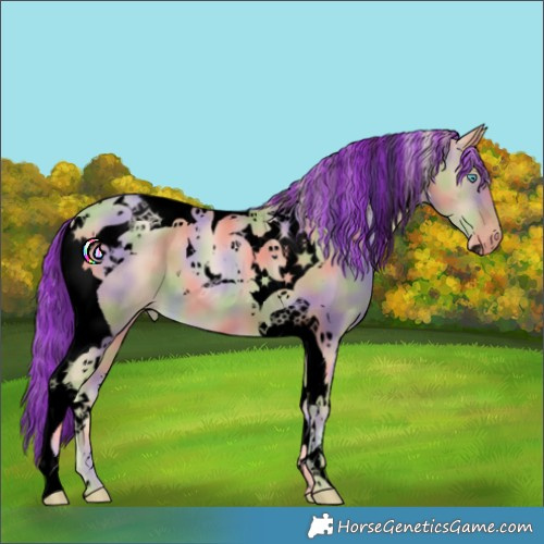 Horse Color:Void Painted Nacre Chocolate Palomino Pearl Tobiano 