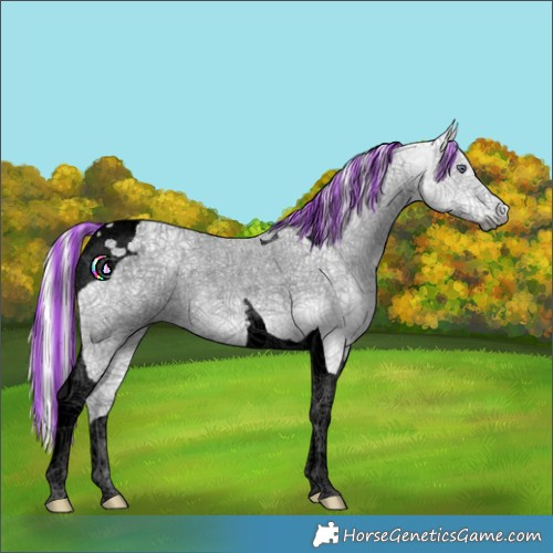 Horse Color:Void Painted Palomino Chinchilla Ice Tobiano 