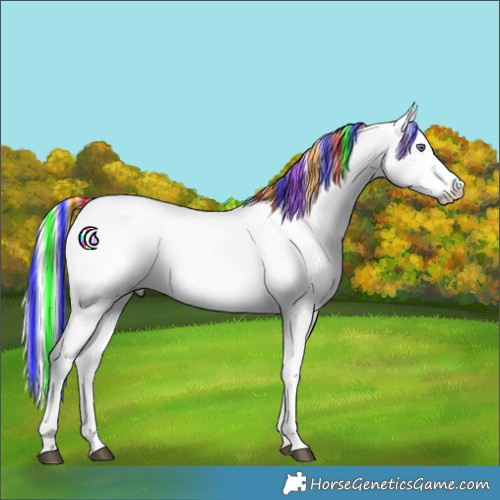 Horse Color:Painted Chestnut Chinchilla Ice 
