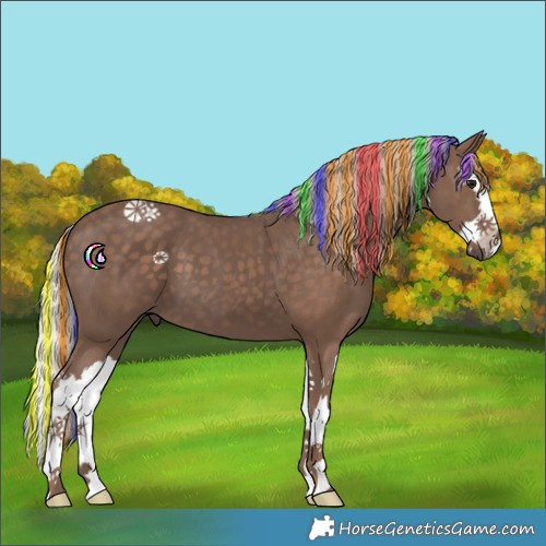 Horse Color:Painted Silver Black Splash 