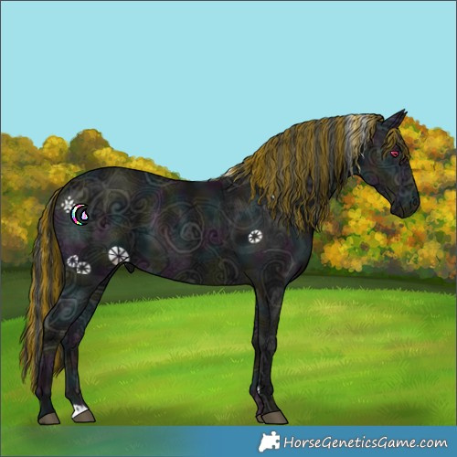 Horse Color:Painted Midnight Black Chinchilla Ice 