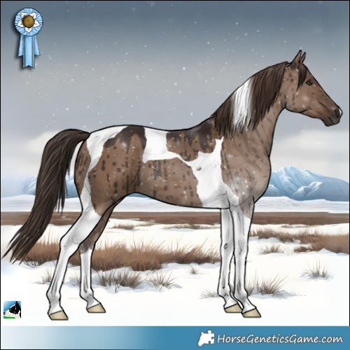 Horse Color:Liver Red Dun Tobiano Brindle 