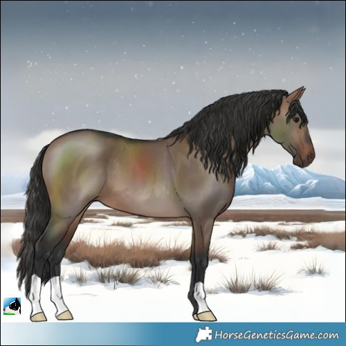Horse Color:Brown Dun 