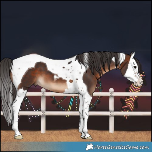 Horse Color:Brown Splash Tobiano 