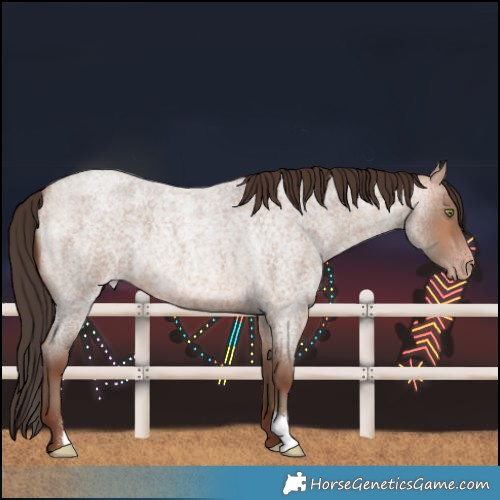 Horse Color:Sable Champagne Roan 
