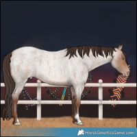 Horse Color:Sable Champagne Roan 