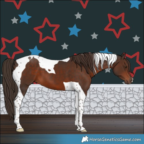Horse Color:Liver Chestnut Tobiano 
