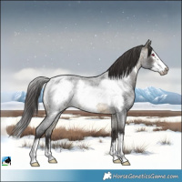 Horse Color:Buckskin Roan Frame Rabicano