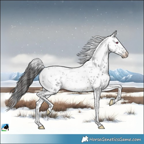 Horse Color:White Spotted Buckskin Mushroom Sabino 