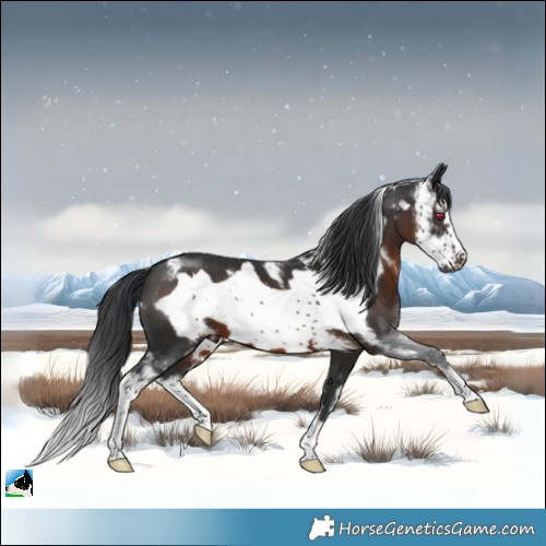 Horse Color:Brown Mushroom Sabino Frame 