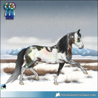 Horse Color:Brown Mushroom Sabino Frame