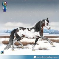 Horse Color:Brown Mushroom Sabino Frame