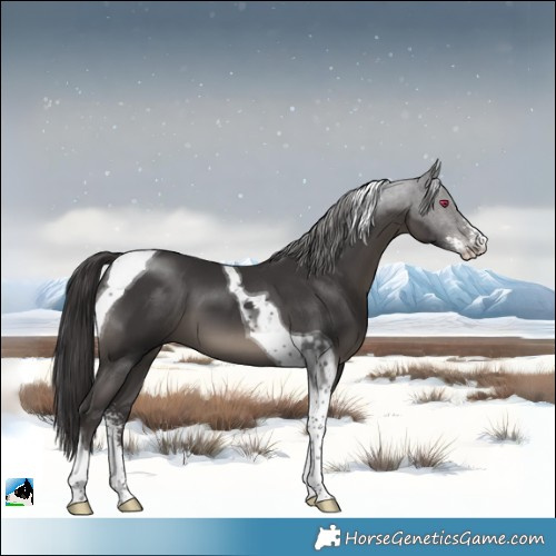 Horse Color:Smoky Black Sabino Tobiano 