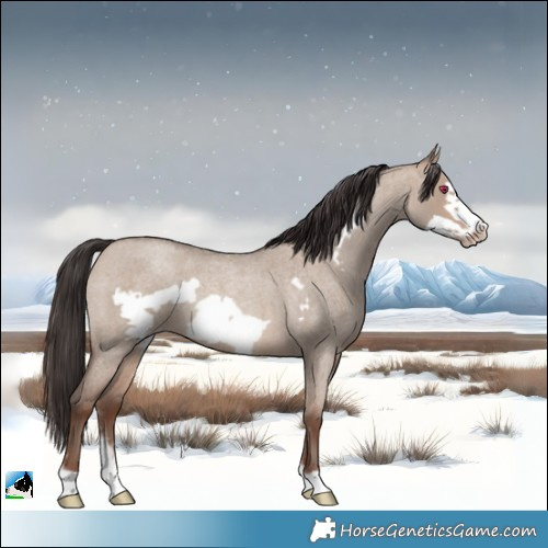 Horse Color:Sable Champagne Roan Dun Sabino Frame 