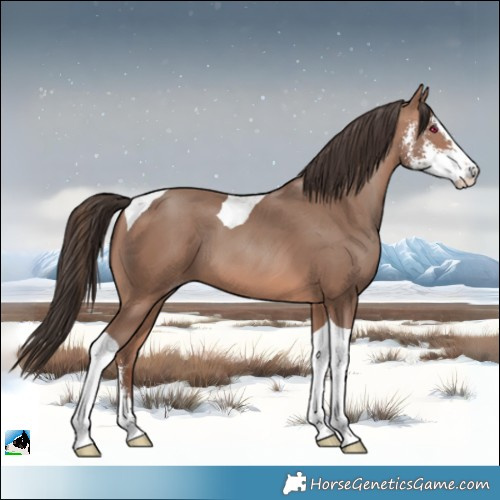 Horse Color:Sable Champagne Sabino Tobiano 