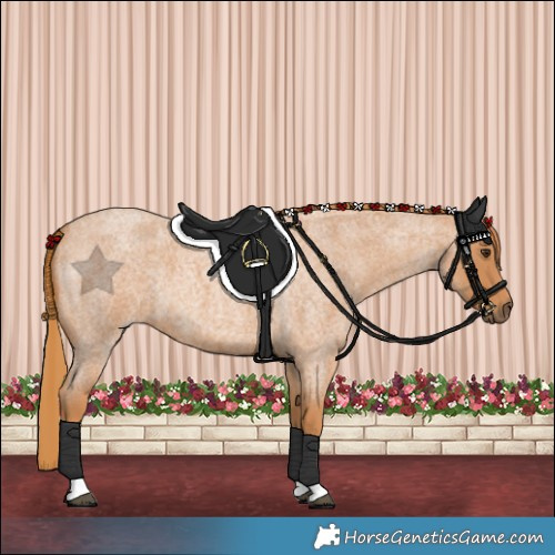 Horse Color:Red Roan Tobiano 